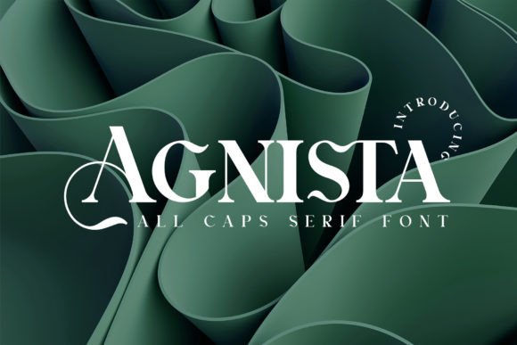 Agnista: A Timeless Choice for Modern Design